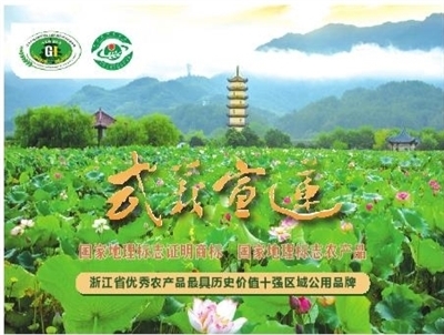 武义报数字报-广告