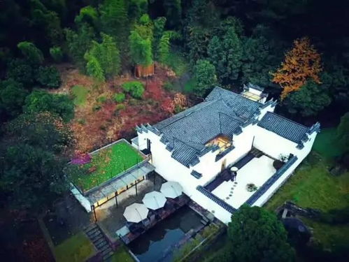 298周末可用 打卡火箭少女住过的武义山舍,义乌2h住独立露台山景房
