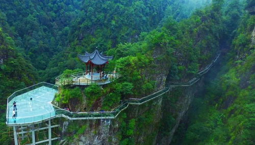 牛头山 e部落 每周上百个各类活动,汇聚数十万厦门上班族