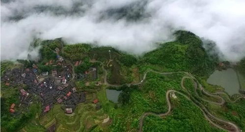 尺度和诗意齐飞,你们要的公路大片来了