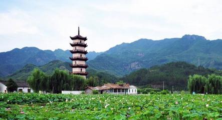 武义是传统的农业县,田园肥美,物产丰饶