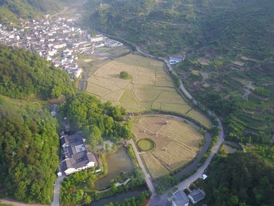 俞源村森林人家