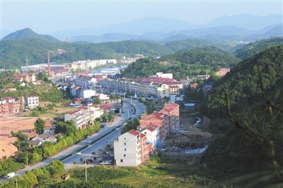 茭道镇积极创建省级森林城镇