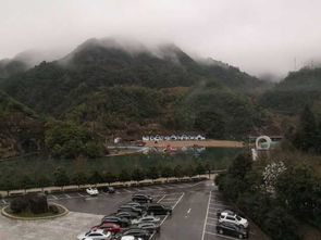 携程酒店 武义牛头山梦温泉酒店预订 武义牛头山梦温泉酒店价格 点评 电话 地址查询