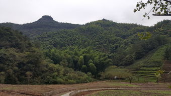 养身福地武义漫游