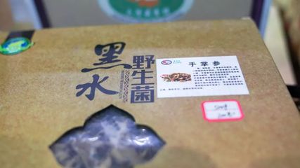 看到流口水！海宁农博会开幕，183个展位新设特色小吃区，最全逛吃攻略送上