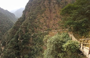 武义牛头山 2017年初次拍摄的记忆