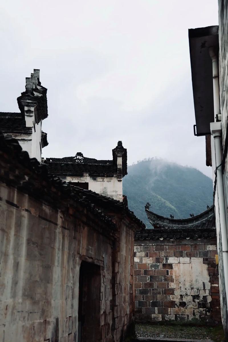 俞源村 武义山间的太极星象古村落